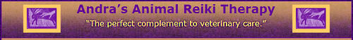 Andrea's Animal Reiki Therapy